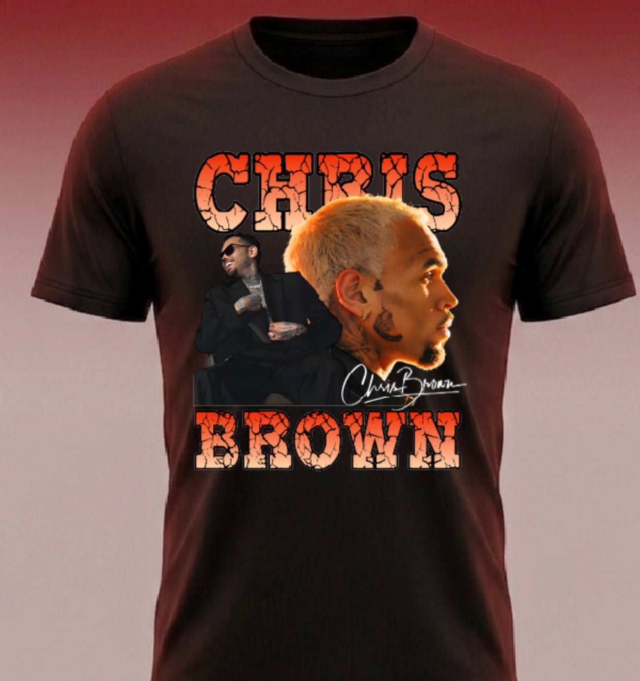 Chris Brown Tour Dates  “R&B Tour Merch”  T shirt (Copy)